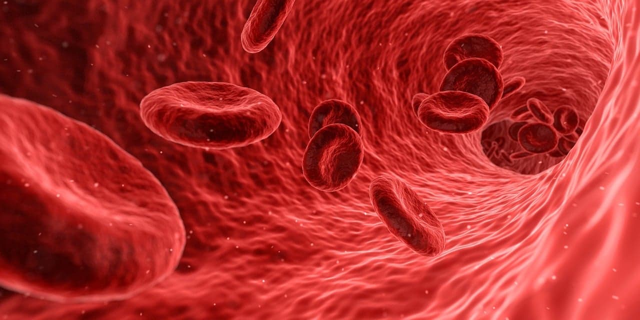 Regenerative Medicine